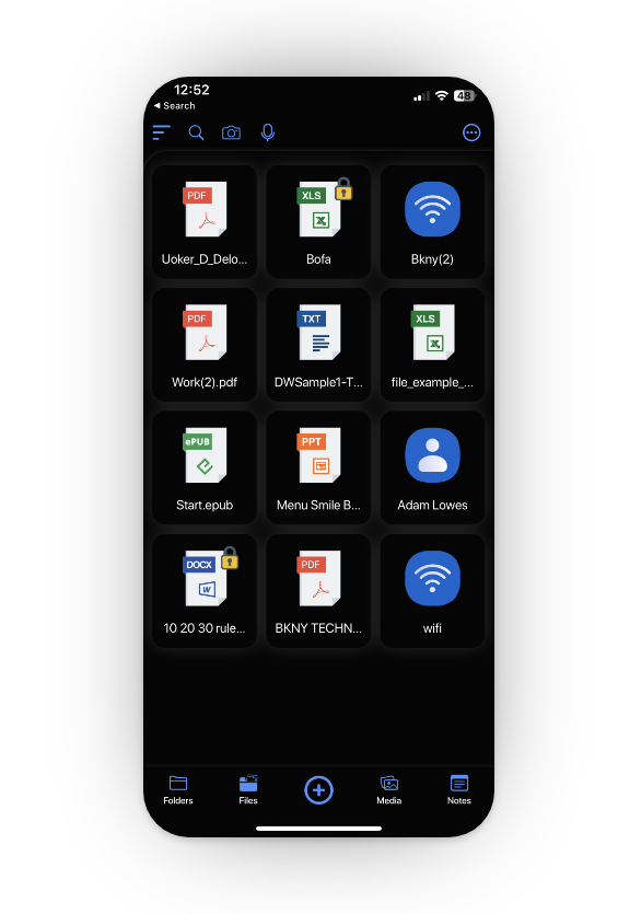 Mobile screen of the applications Files page, with many file types saved and encrypted